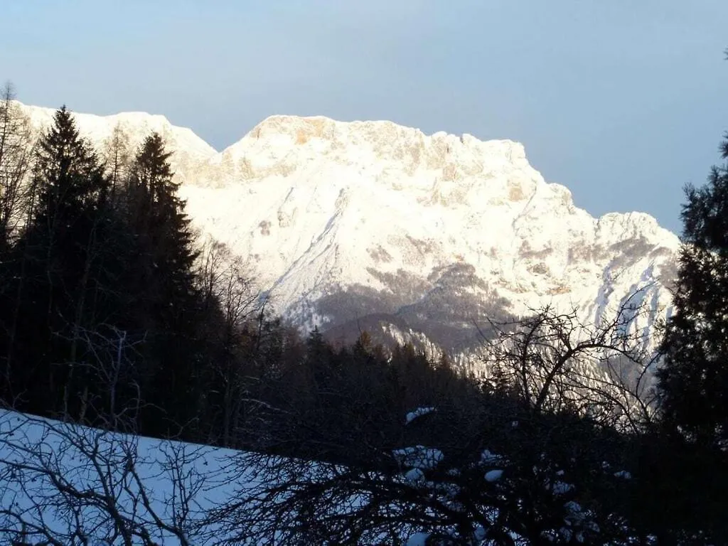 1-Bedroom Holiday Apartment Berchtesgaden